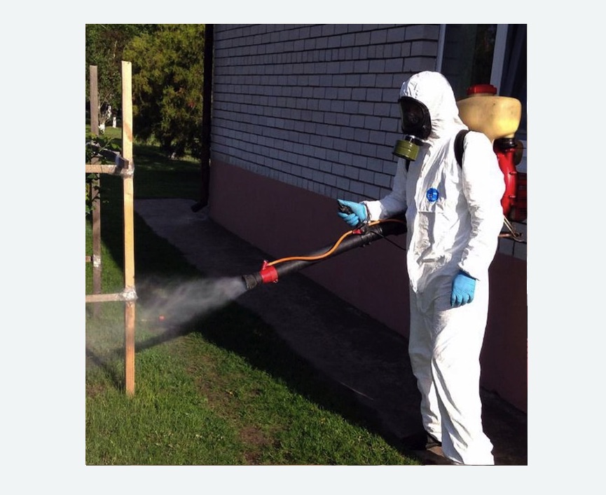 травля клещей на участке в Свиблово города Москвы