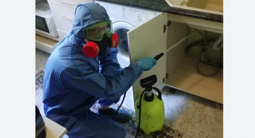 Уничтожение муравьев в квартире. Свиблово 