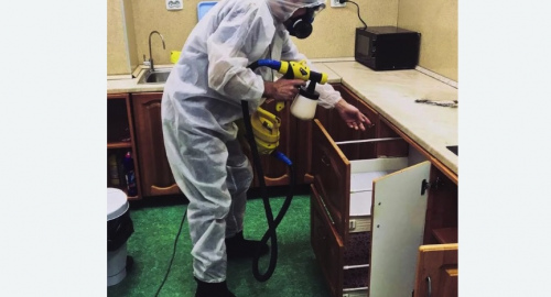 Уничтожение насекомых в квартире. Свиблово 