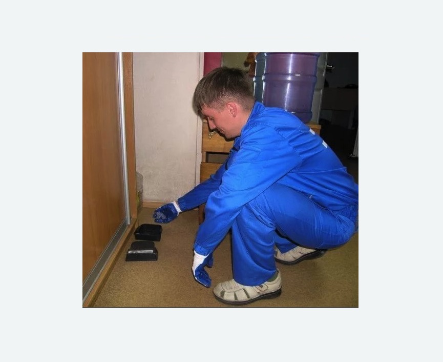 Дератизация крыс в Свиблово города Москвы