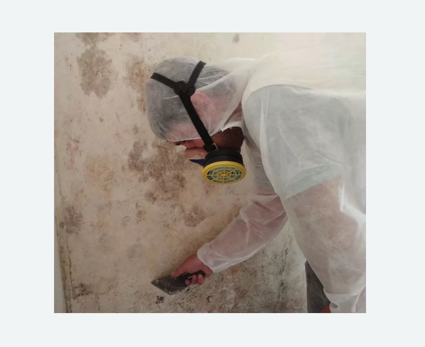 Обработка стен от плесени в Свиблово города Москвы