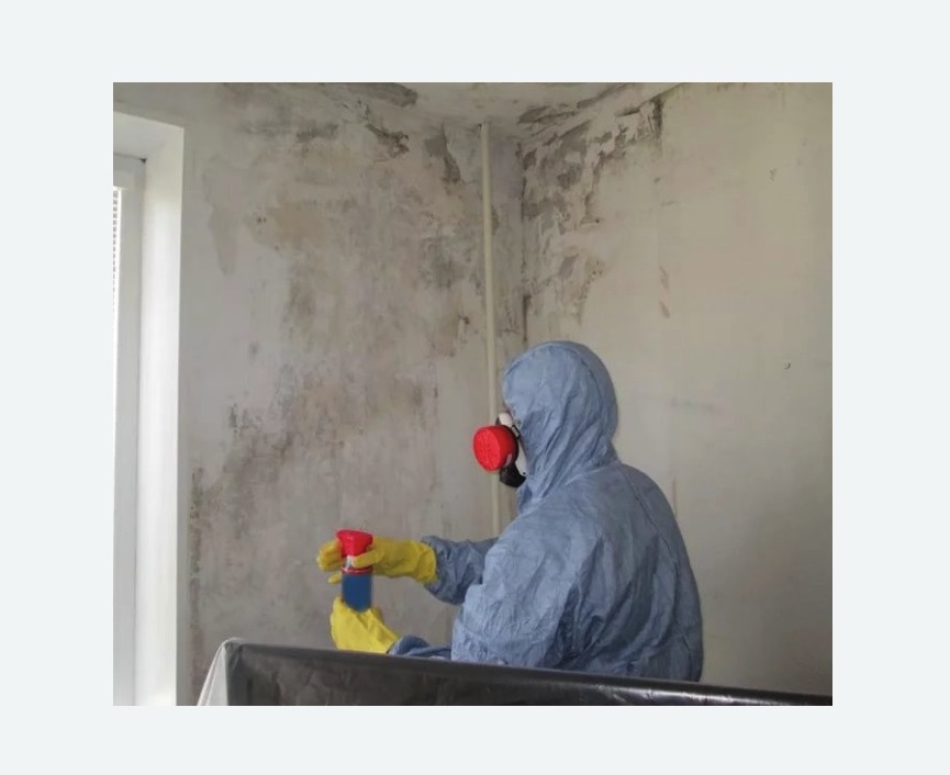 Удаление плесени в квартире в Свиблово города Москвы