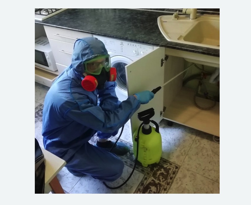 обработка от муравьев в квартире в Свиблово города Москвы